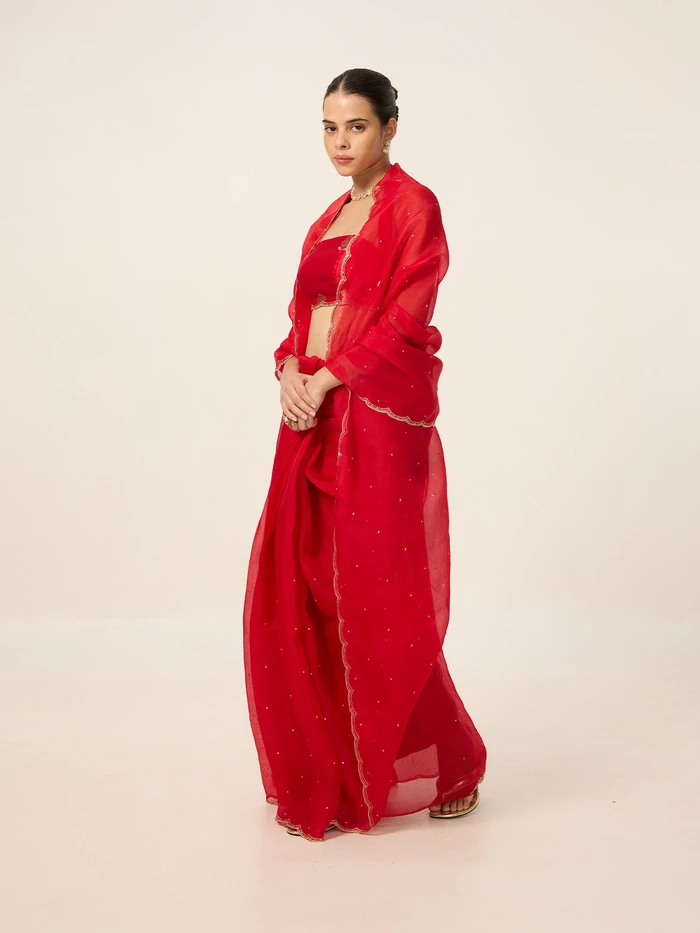 Handwoven Ruby Red Organza Saree