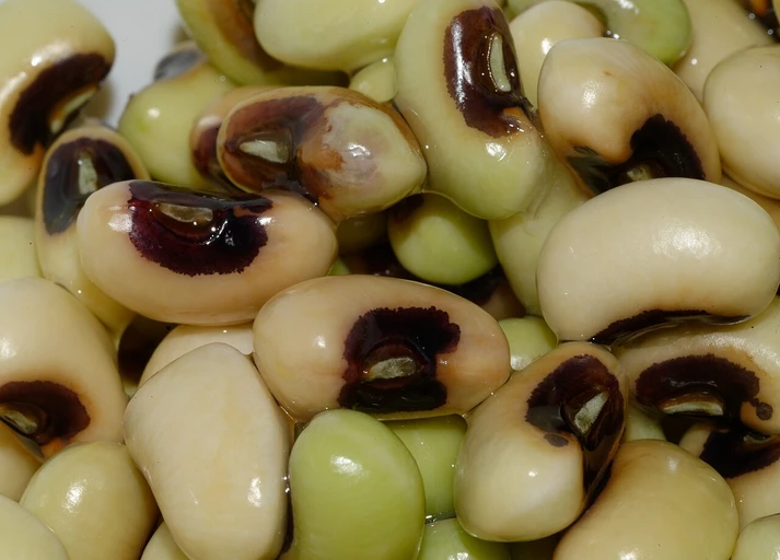 Black-eyed Peas (Lobia)