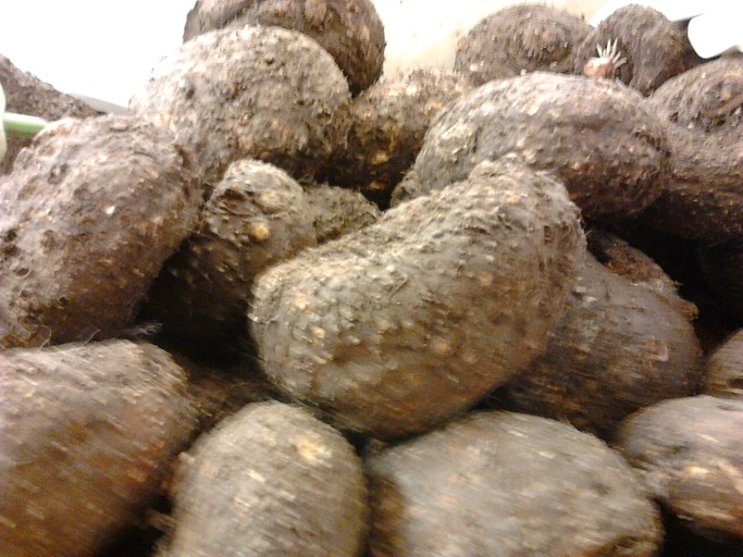 Elephant Foot Yam (Jimikand)