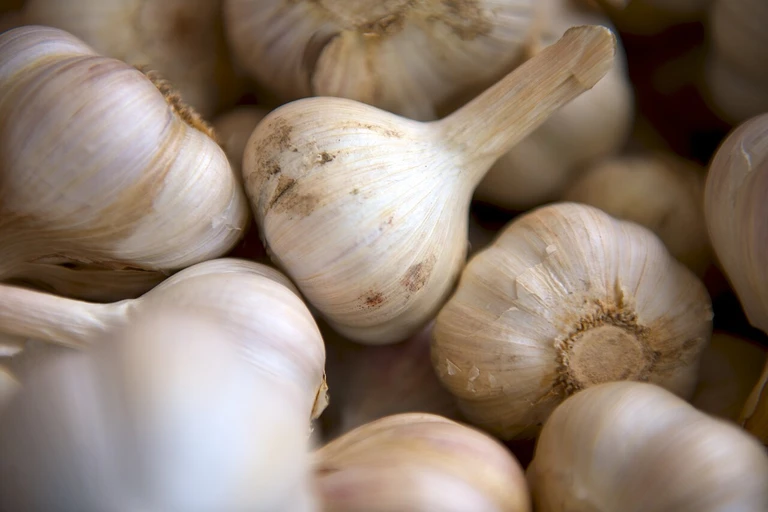 Garlic (Lahsun)