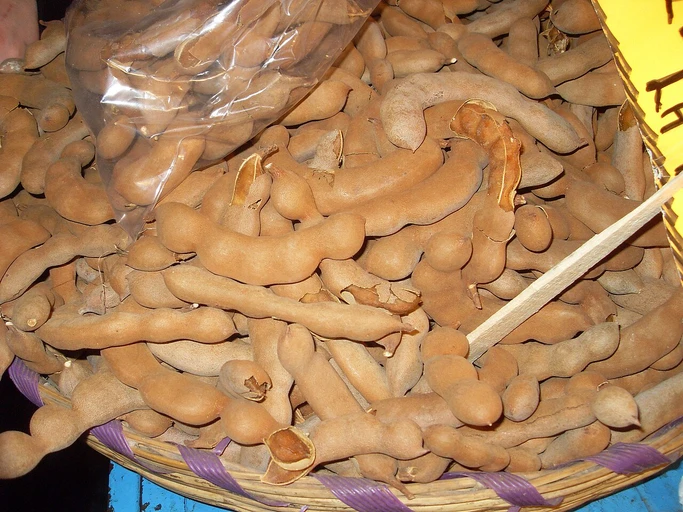 Tamarind (Imli)