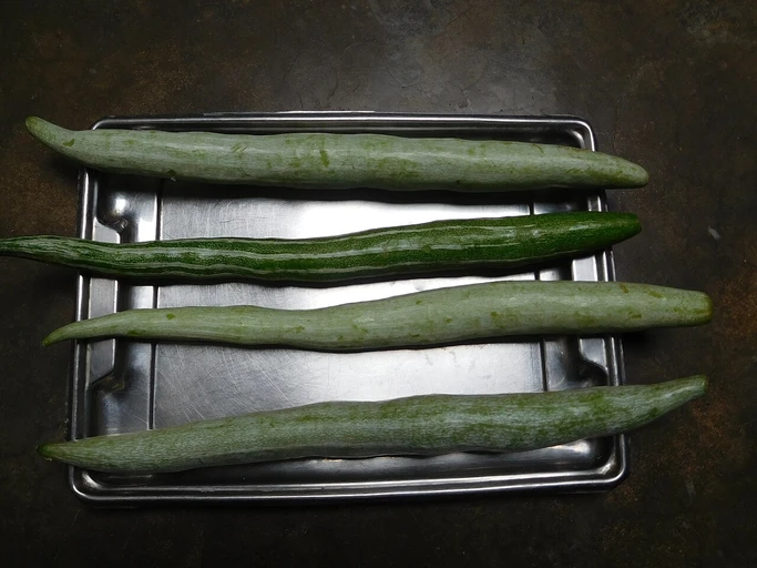 Snake Gourd (Chichinda)