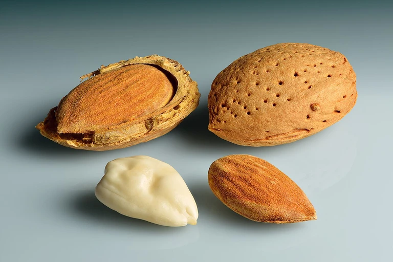 Almonds (Badam)