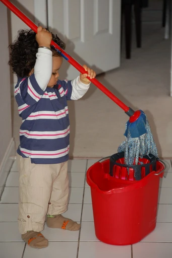 Floor Cleaner (Floor Cleaner)