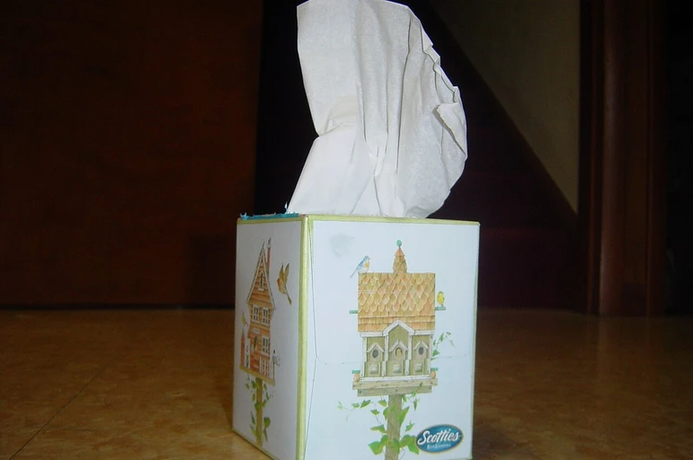 Tissue Paper (Tissue Paper)