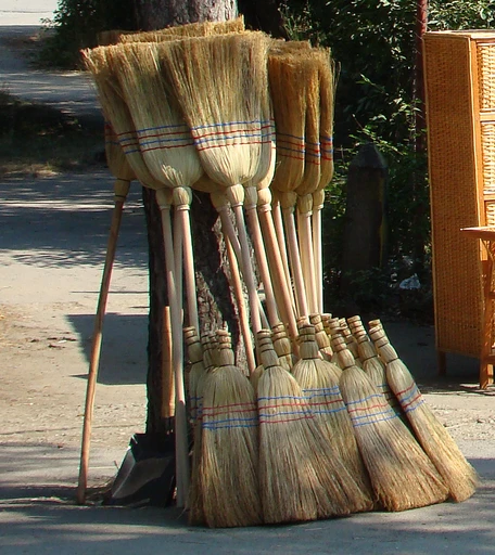 Broom (Jhadu)