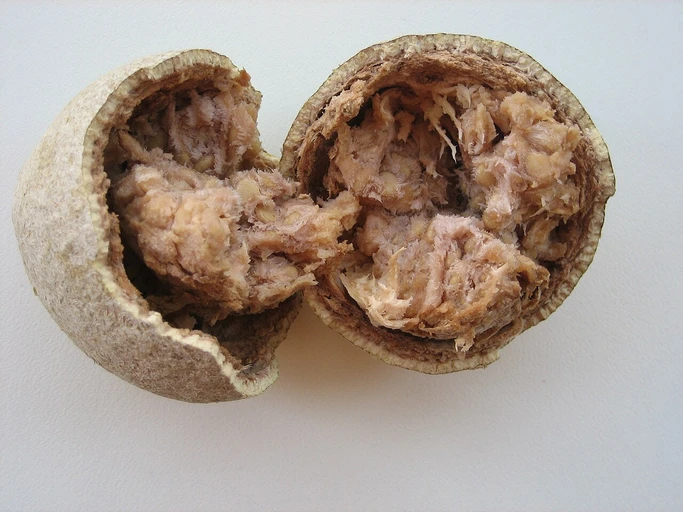 Wood Apple (Bael)