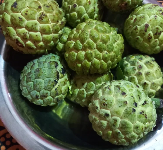 Custard Apple (Sharifa)