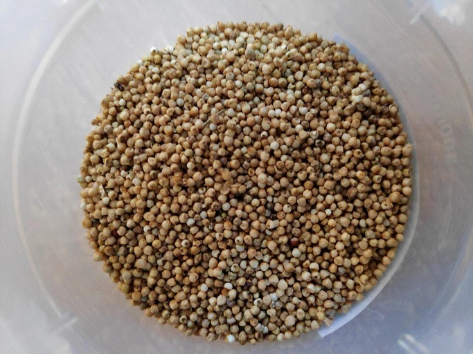 Finger Millet Flour (Ragi Atta)