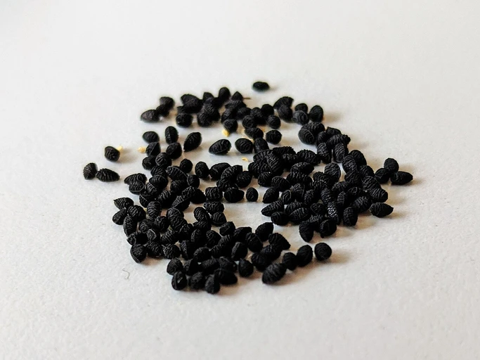 Nigella Seeds (Kalonji)