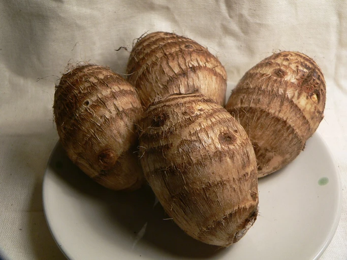 Colocasia (Arbi)