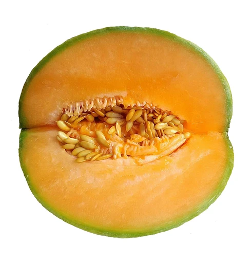 Muskmelon (Kharbooja)