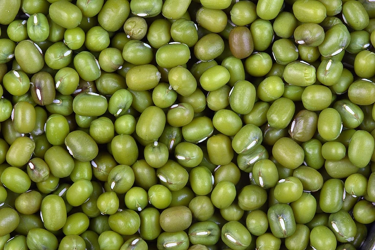 Split Green Moong (Chhilka Moong Dal)