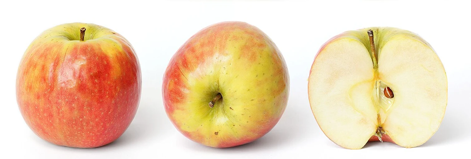 Apple (Seb)