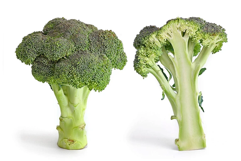Broccoli (Broccoli)