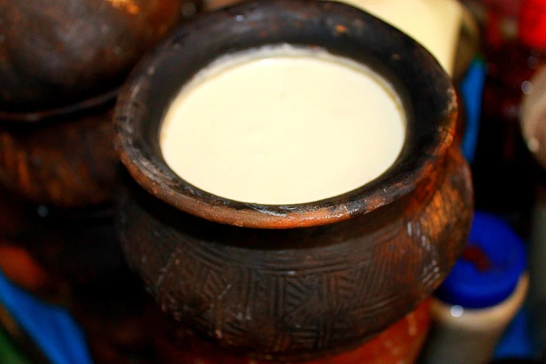 Curd (Dahi)