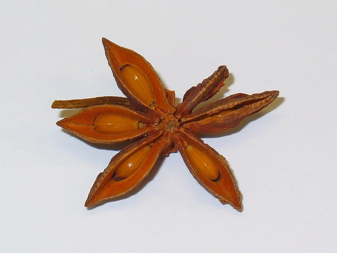 Star Anise (Chakra Phool)