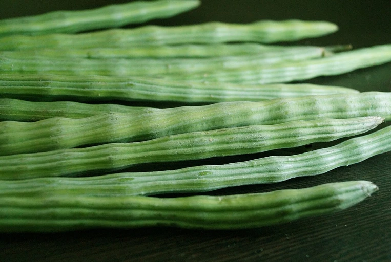Drumstick (Sahjan)