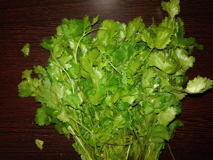 Coriander Leaves (Dhaniya)