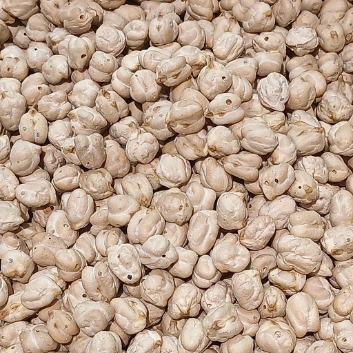 Chickpeas (Kabuli Chana)