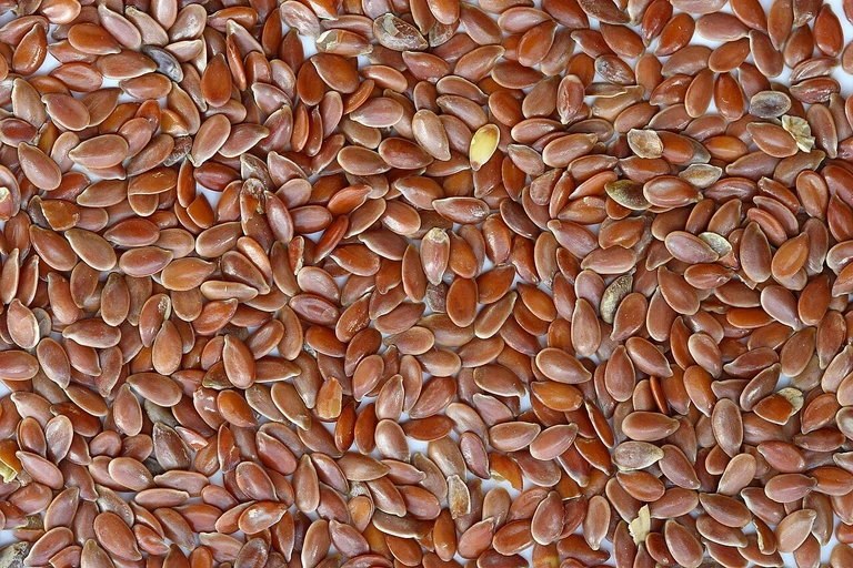 Flax Seeds (Alsi)