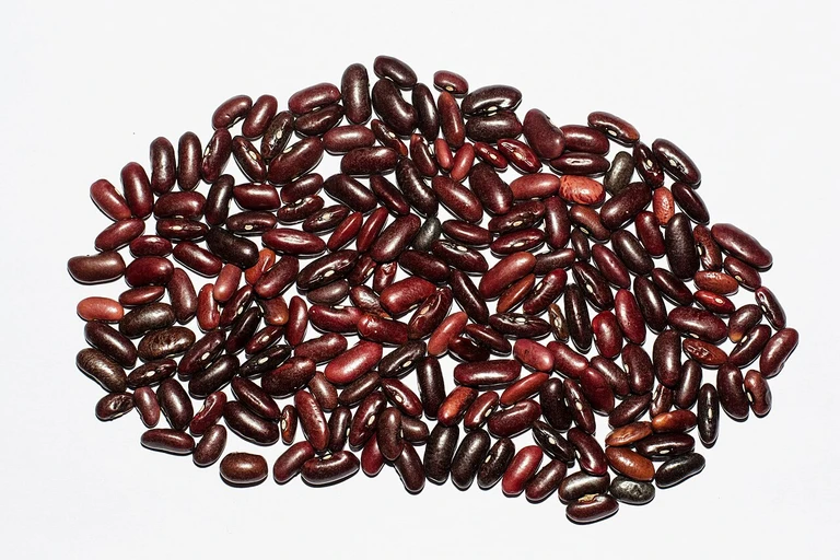 Kidney Beans (Rajma)