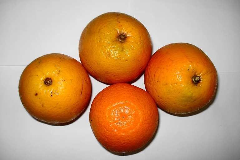 Sweet Lime (Mausambi)
