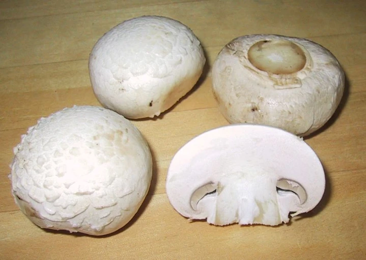 Button Mushroom (Khumb)