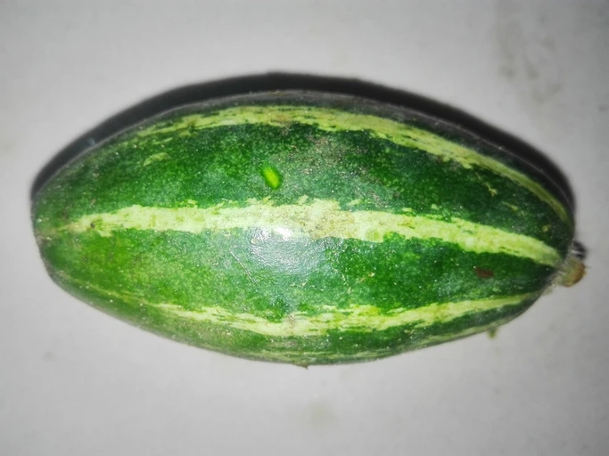 Pointed Gourd (Parwal)