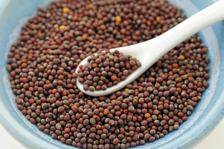 Mustard Seeds (Rai)