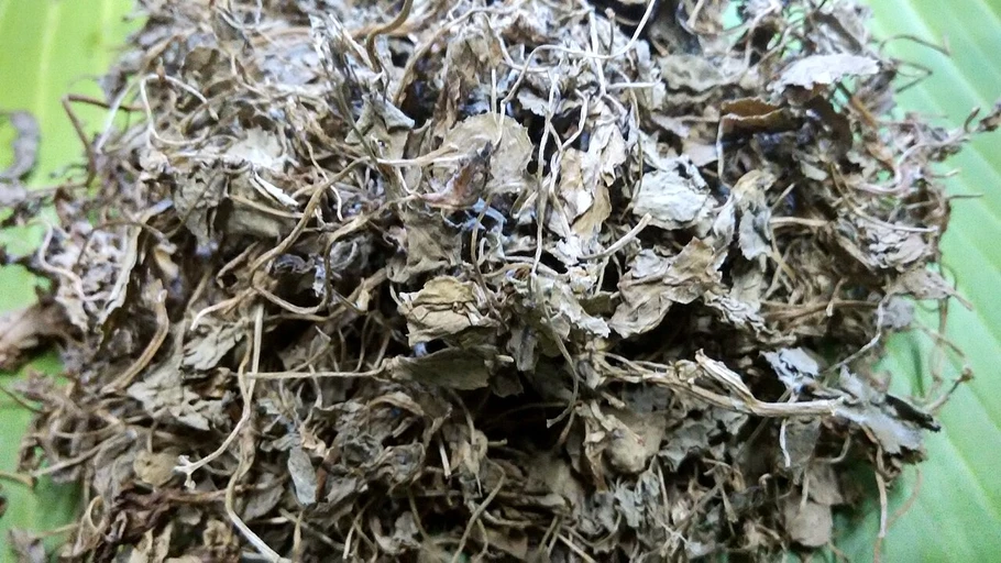 Dried Fenugreek Leaves (Kasuri Methi)
