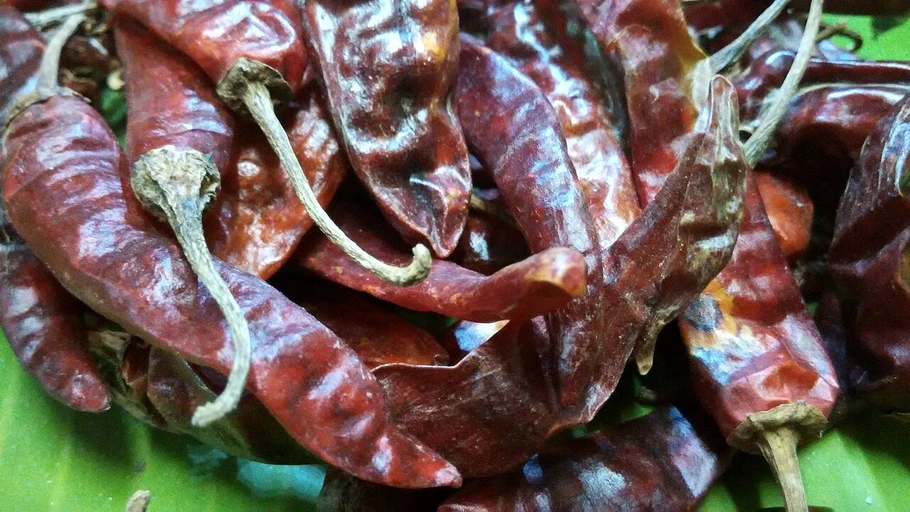Dry Red Chillies (Sukhi Lal Mirch)
