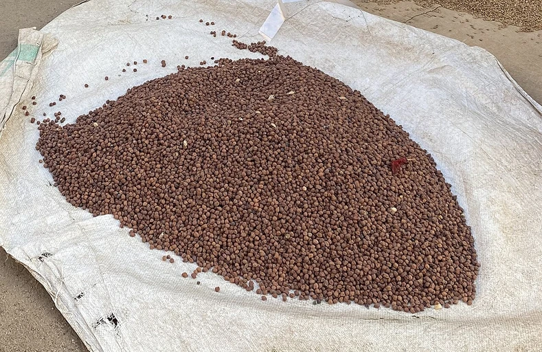 Black Chickpeas (Kala Chana)