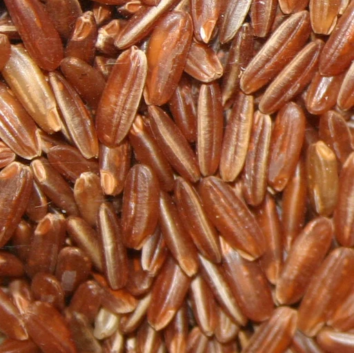 Brown Rice (Brown Chawal)