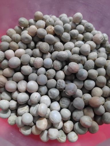 Dried Green Peas (Sukhe Matar)