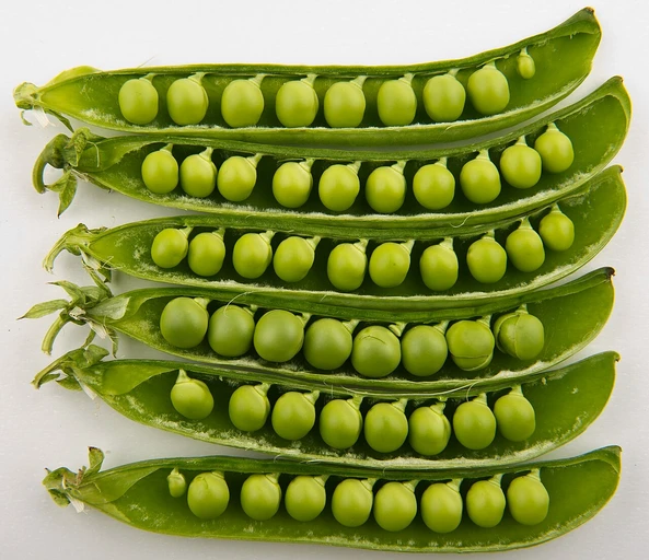 Green Peas (Matar)