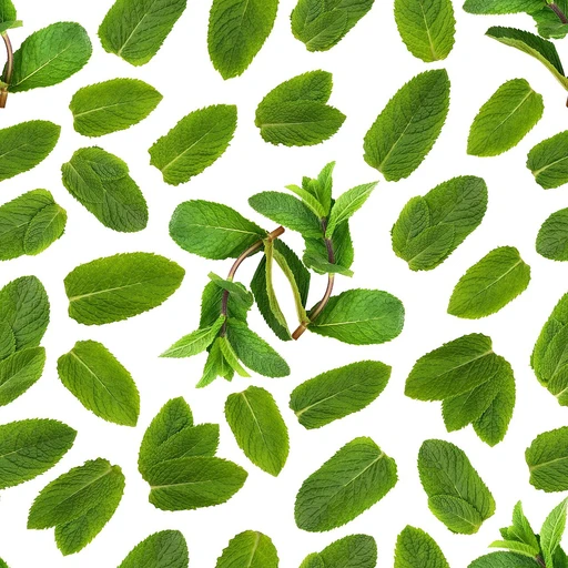 Mint Leaves (Pudina)