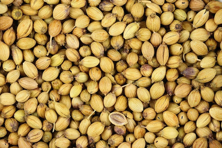 Coriander Seeds (Sabut Dhaniya)