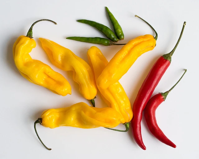 Green Chilli (Hari Mirch)