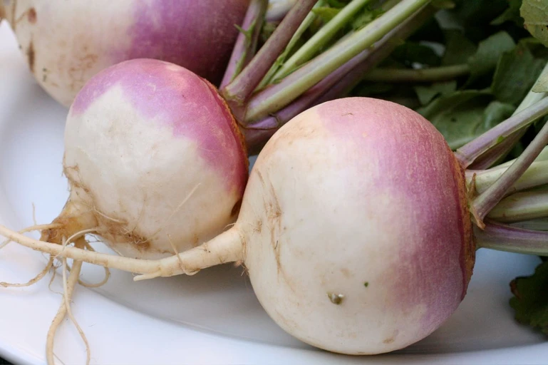 Turnip (Shalgam)
