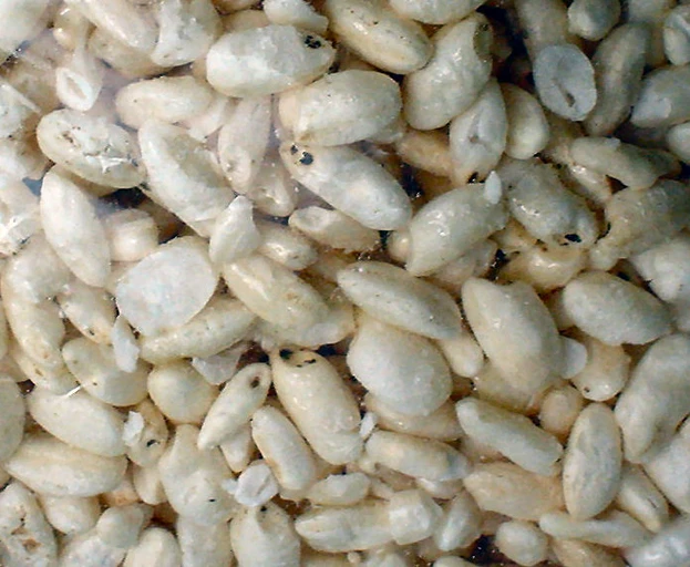 Puffed Rice (Murmura)