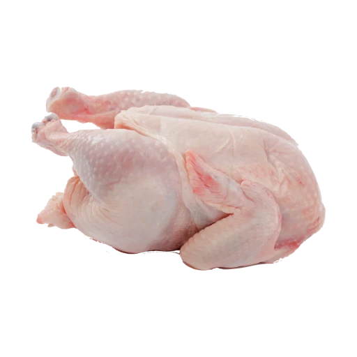 Chicken Meat