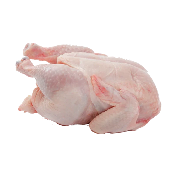 Chicken Meat