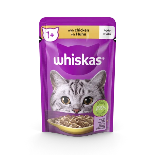 Cat Food