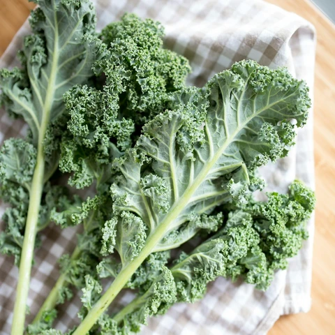 Tuscan Kale
