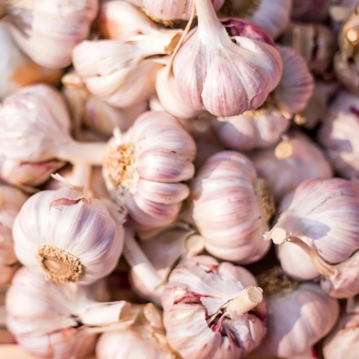 Purple Garlic, 250g