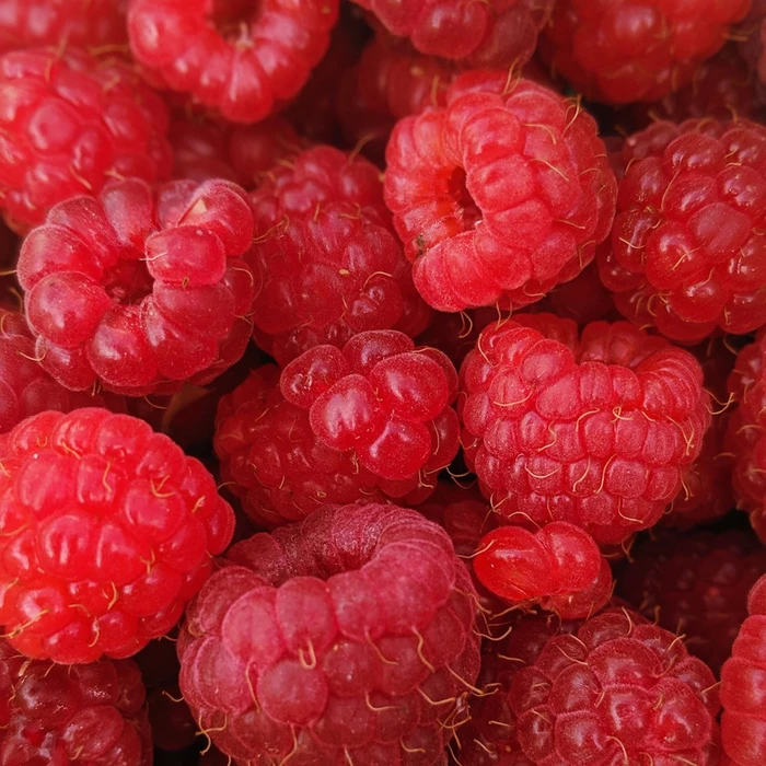Red Raspberries, 170g