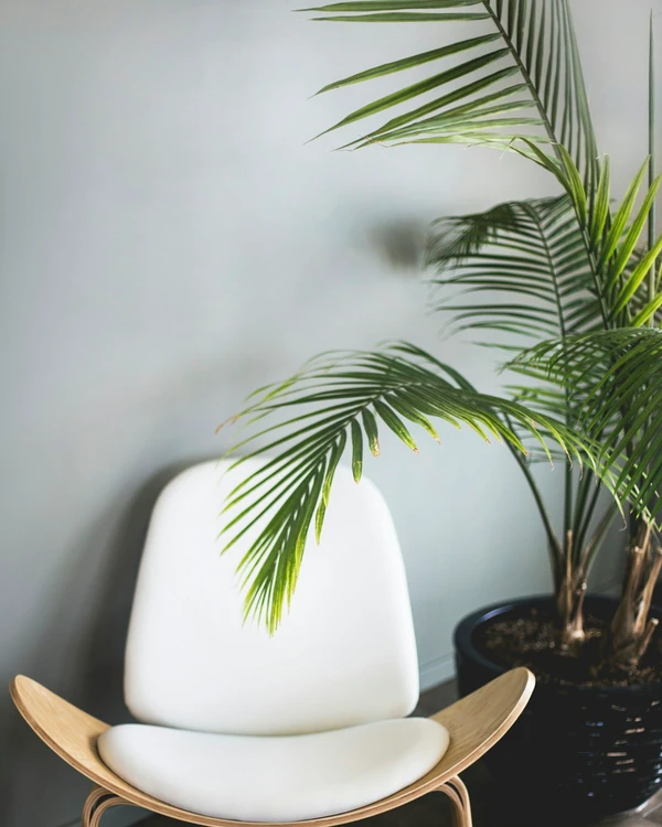 Papillon Lounge Chair