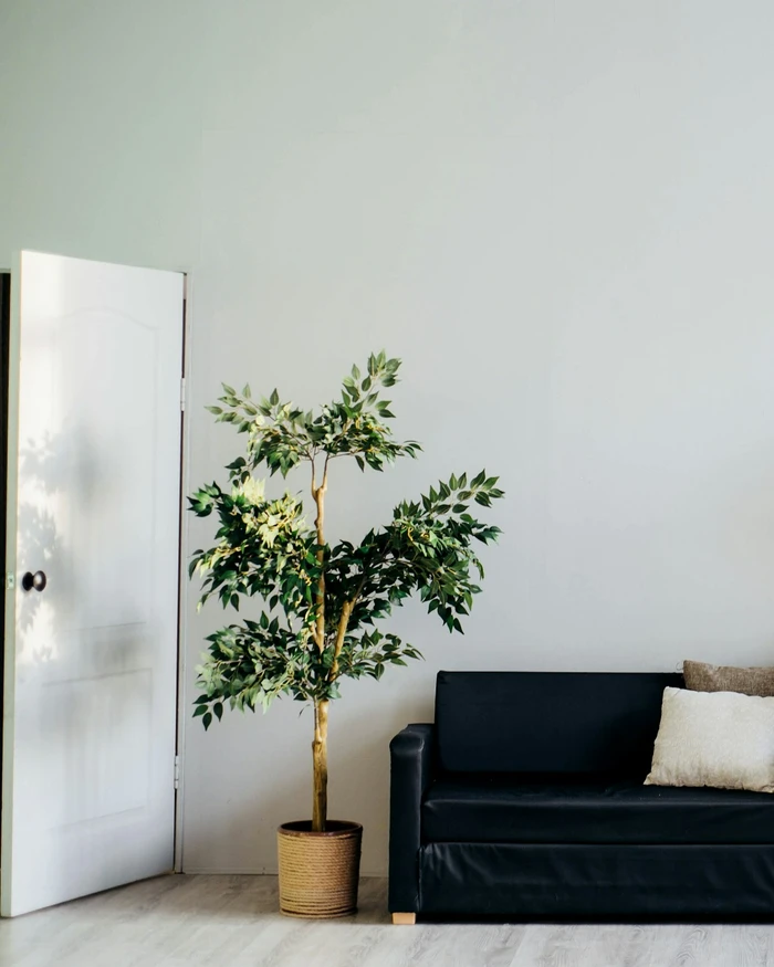 Alba Chest of Drawers